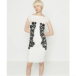Cream and black lace Zara dress sz small